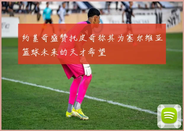 约基奇盛赞托皮奇称其为塞尔维亚篮球未来的天才希望
