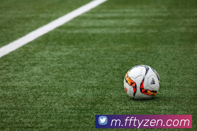 非凡体育发展历程